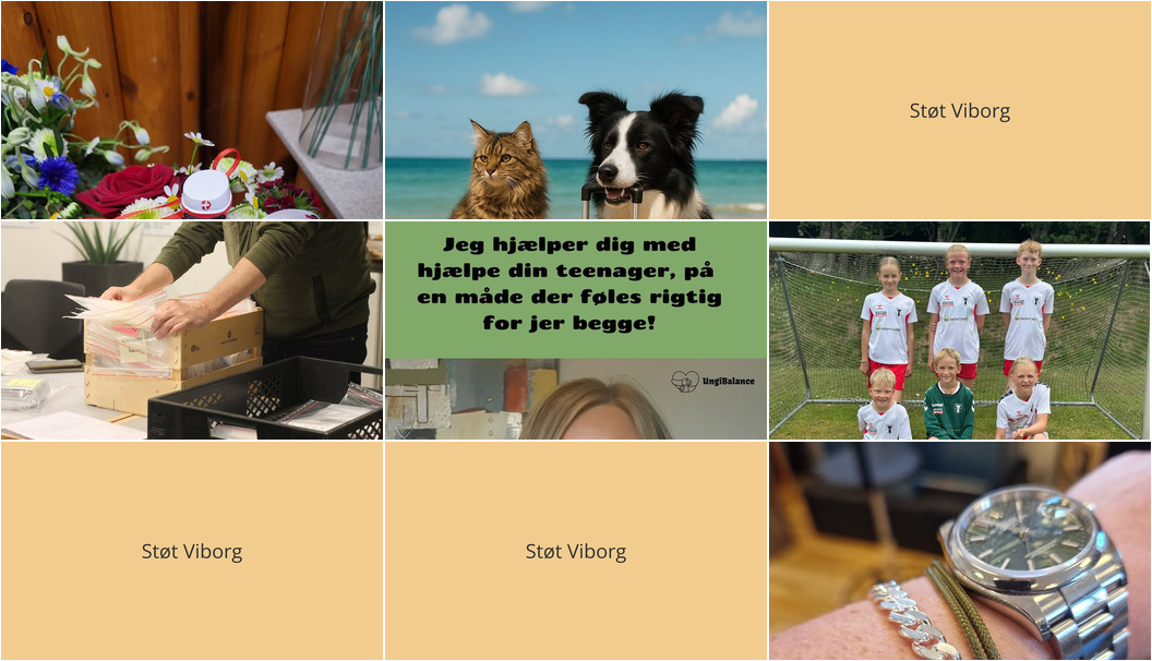 Nyt fra Museerne i Holstebro, Asmild Plantecenter ApS, Guldsmed Ø og 3 andre