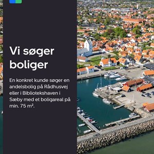 Opslagsbillede