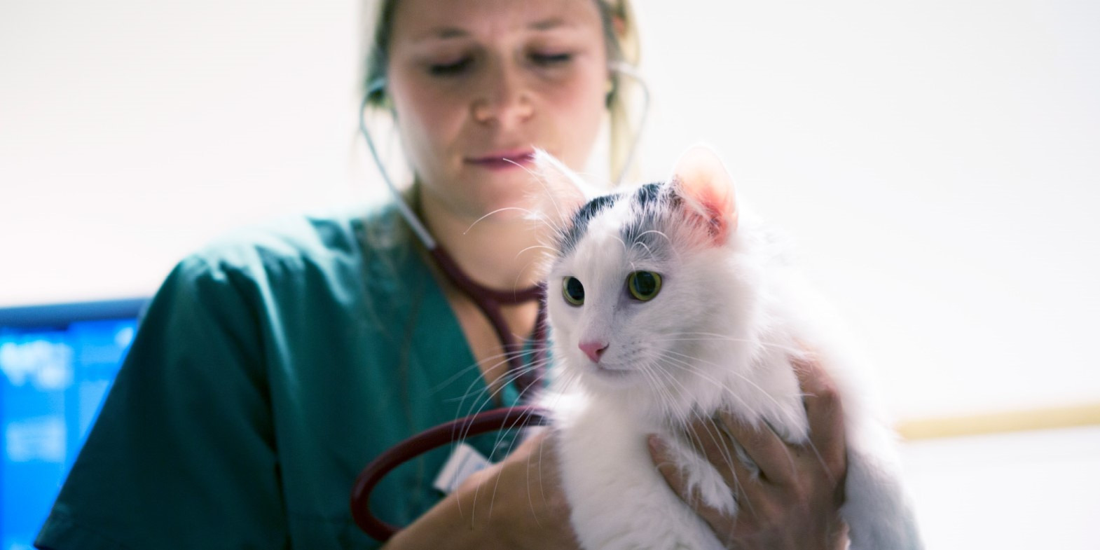 Opdatér dig her: Det nyeste fra Hjørring