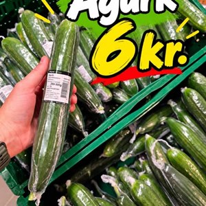 Opslagsbillede
