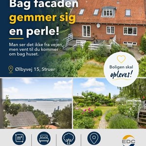 Opslagsbillede