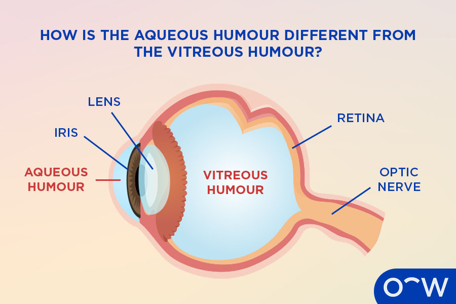 Sidste chance for at vinde Drivesafe glas hos NYT SYN Kirkegade