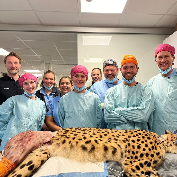 Opslagstavlen: Nyeste opdateringer fra Risskov