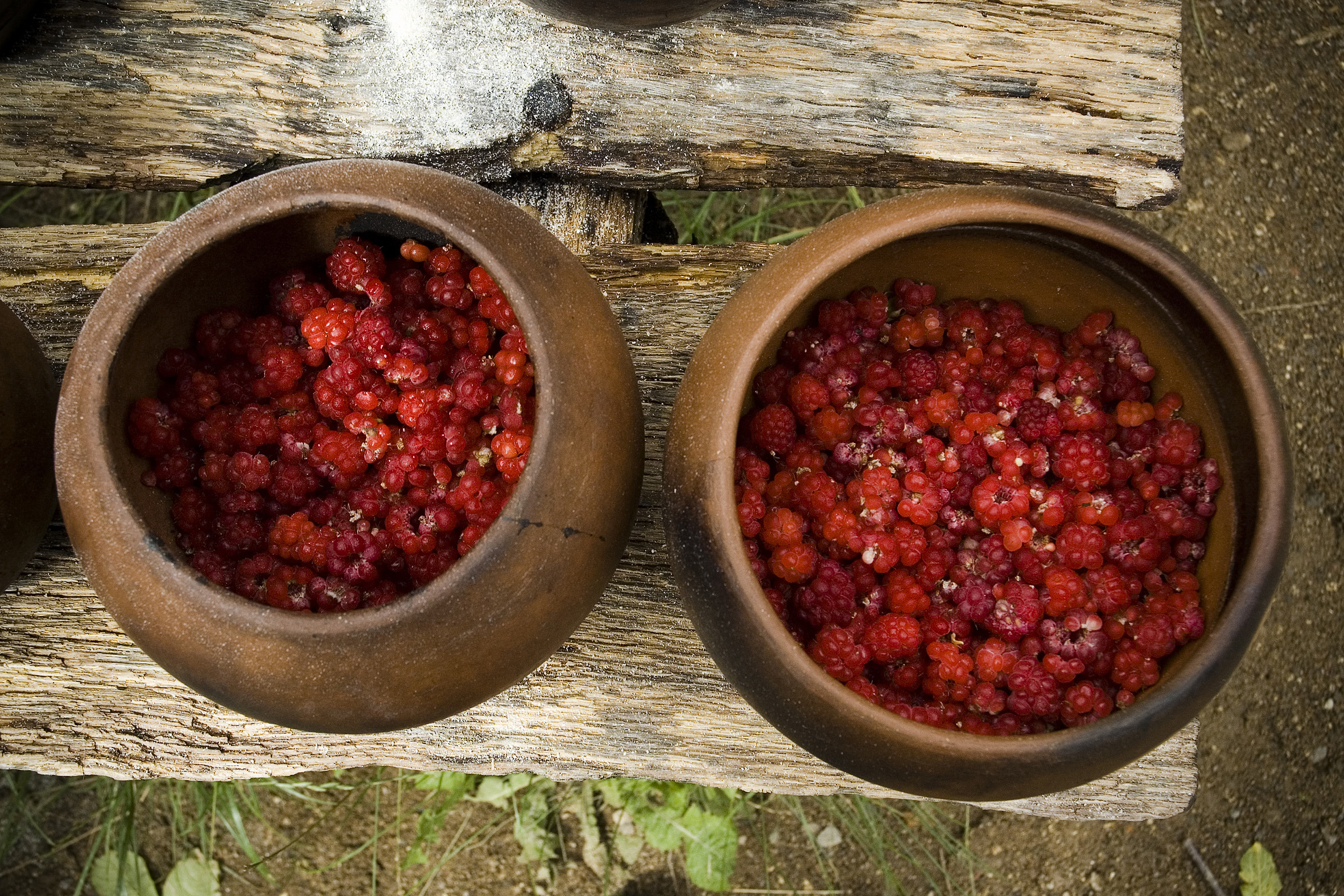 Fødselsdagsfejring i Vikingelandsbyen: Oplev liv, musik og vikingehåndværk