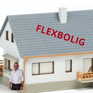 Opslagsbillede