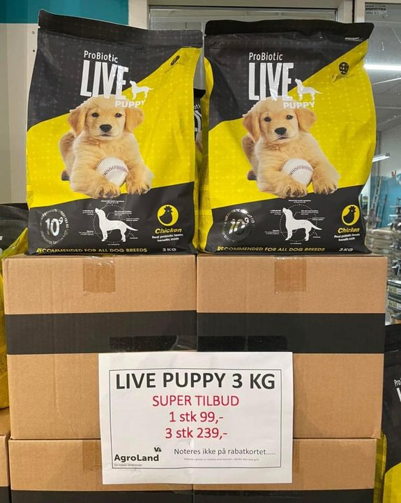 Opslagstavlen: Nyeste opdateringer fra Herning