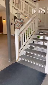 Opslagsbillede