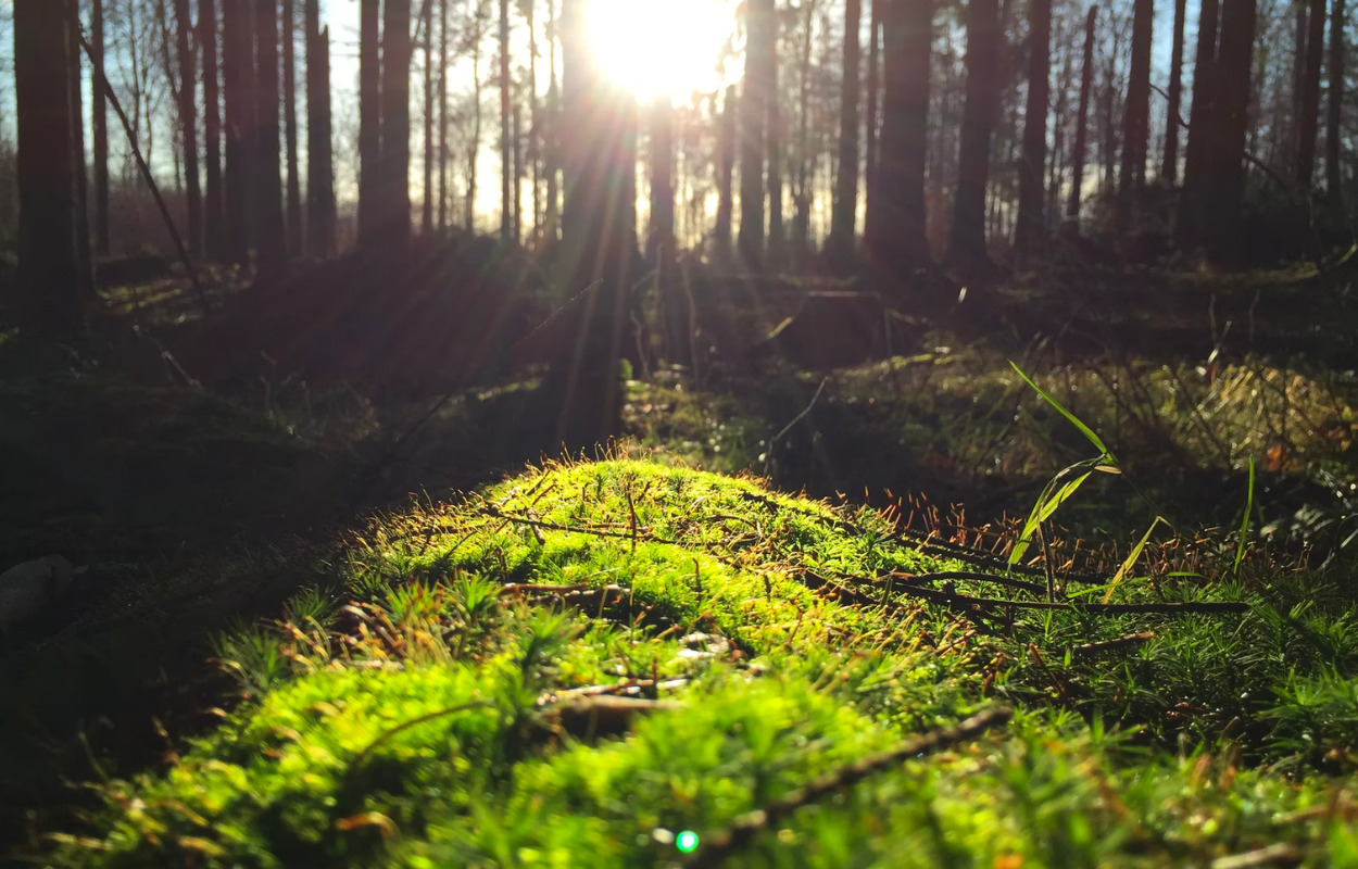 Penge til friluftslivet i Brønderslev