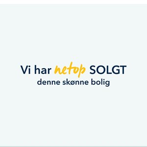 Opslagsbillede