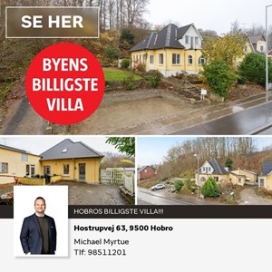 opslagsbillede