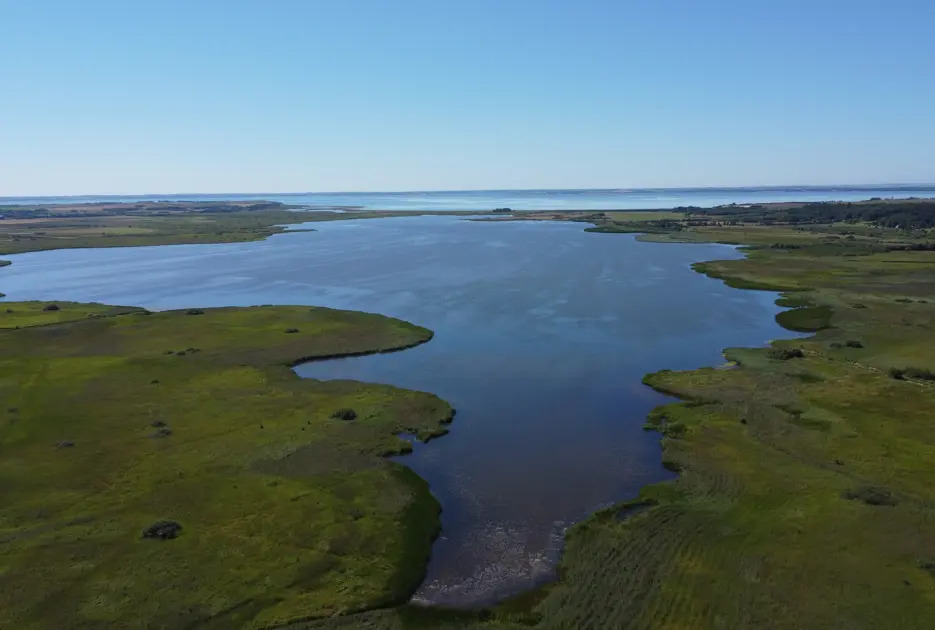 Skive Kommune åbner ny naturpark med stor lokal støtte i 2025