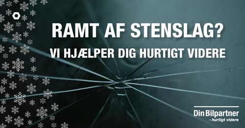 Opslagsbillede