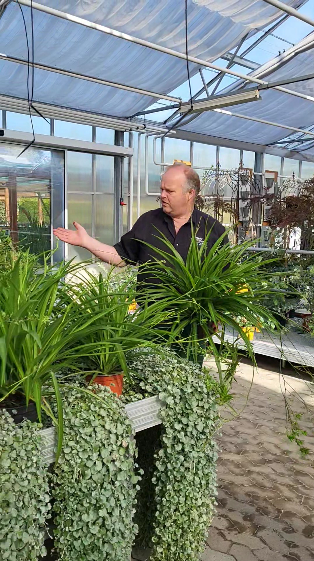 Hold dig ajour med dagens opdateringer fra Viborg