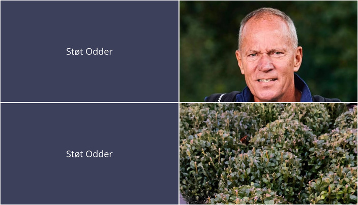 Nyt fra StensballeGaard Golfklub og Midtjysk blomstermarked 