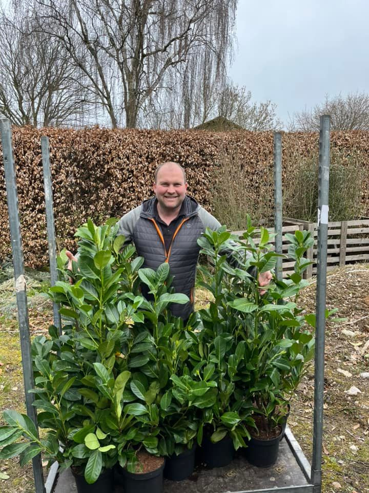 En finger på pulsen i Hedensted
