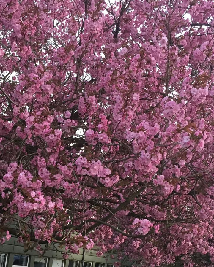 Se dagens updates fra Horsens her