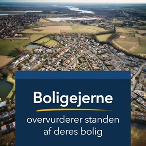 Opslagsbillede