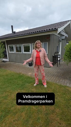 opslagsbillede