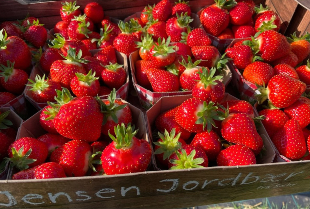 Charlotte og Claus mistede flere tusinde følgere efter at være blevet hacket - nu ser de fremad