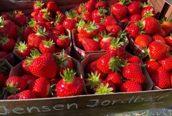 Charlotte og Claus mistede flere tusinde følgere efter at være blevet hacket - nu ser de fremad