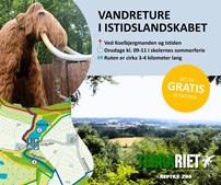 Vandretur i istidslandskabet bringer historie til live i Vissenbjerg