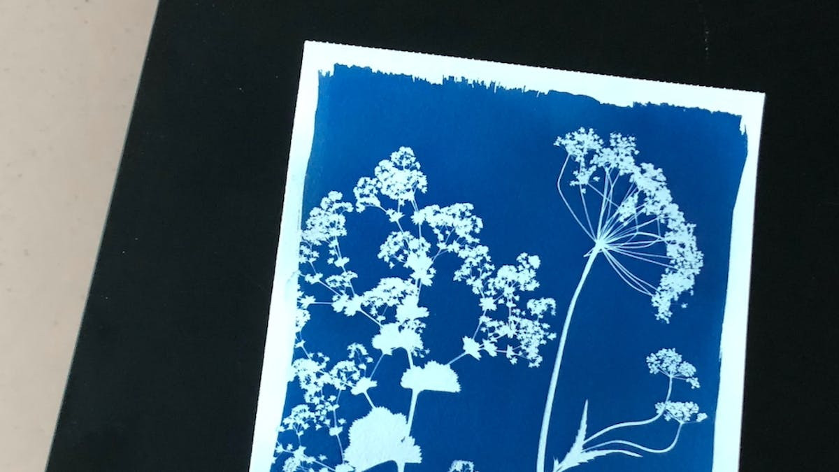 Oplev cyanotopi: En kreativ workshop i Brønshøj