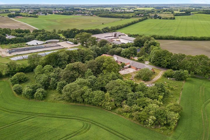 Opslagstavlen: Nyeste opdateringer fra Aalestrup