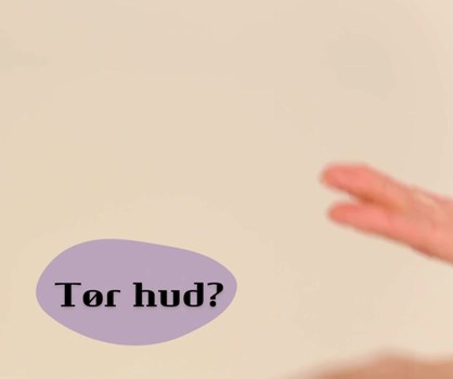 Opslagsbillede