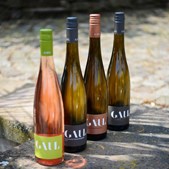 Lahvino Wine & Spirits præsenterer forårets perfekte vine til terrassen