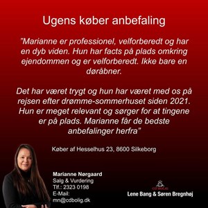 Opslagsbillede