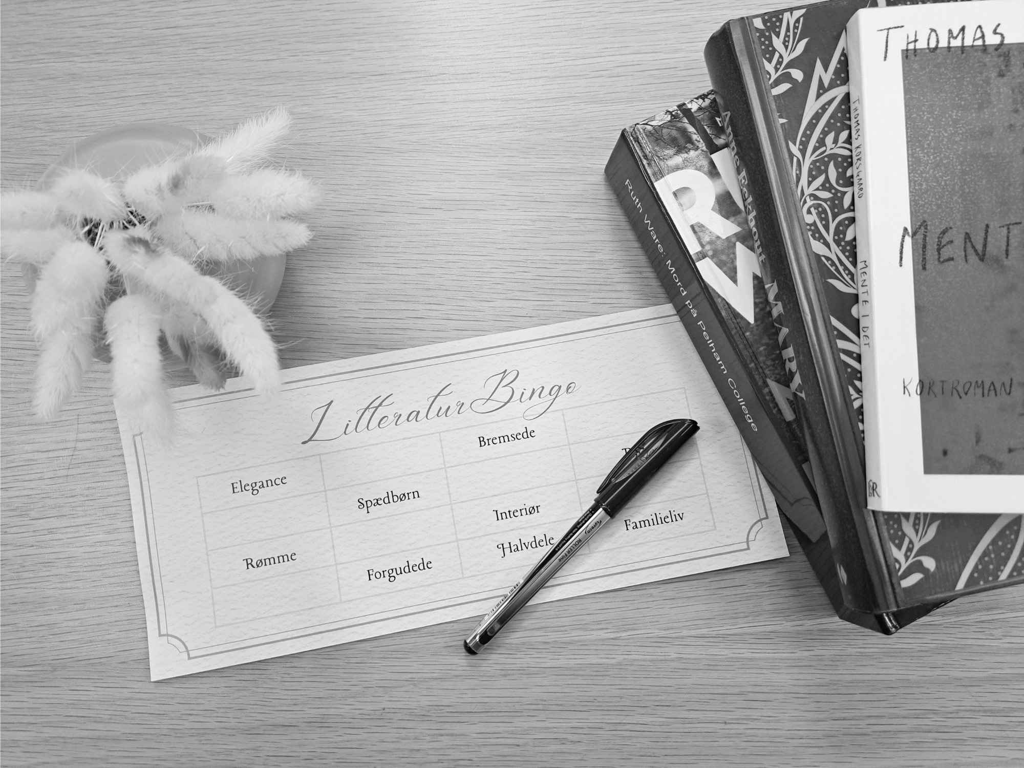 Tag på litterær bingo-rejse i Vester Sottrup