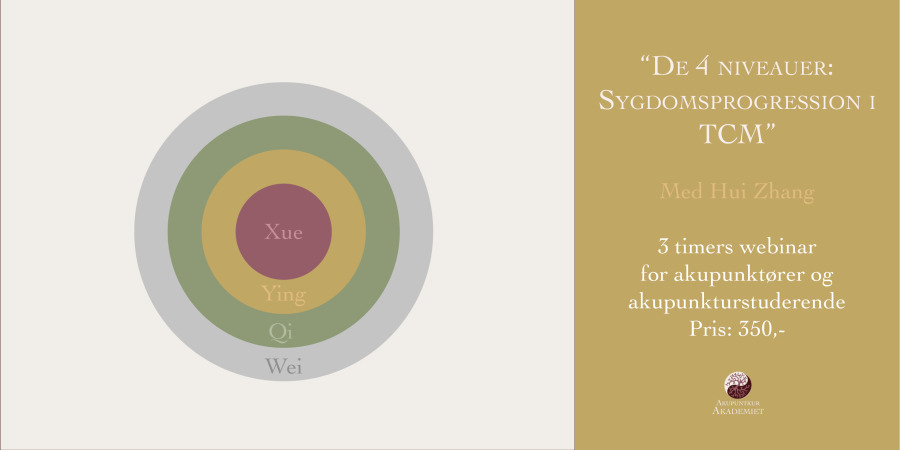 Opdagelse af akupunkturens dybder i Hovedgård