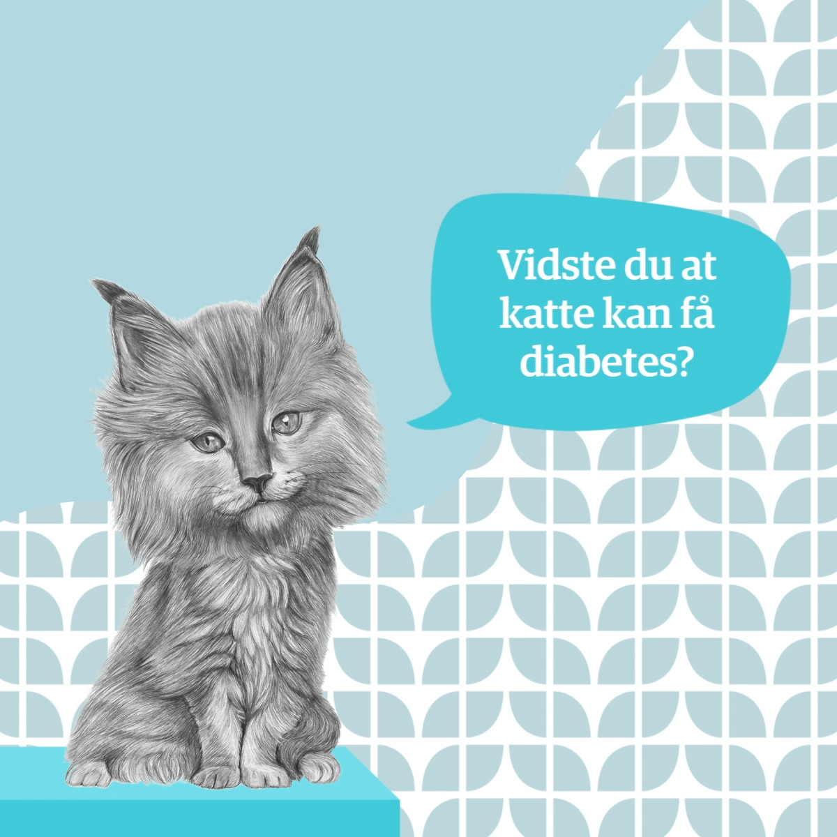 Se dagens updates fra Hjørring her