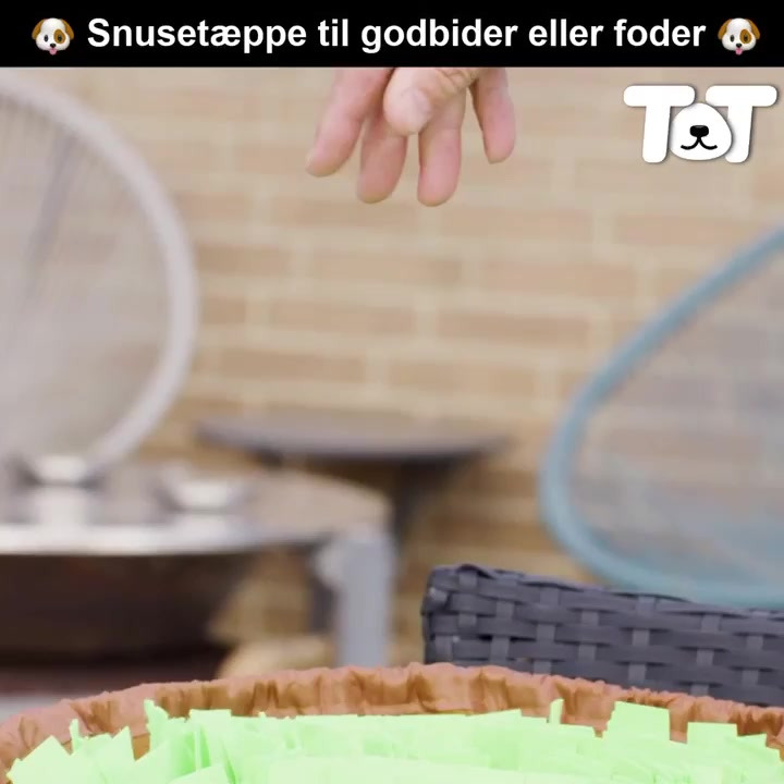 Opdatér dig her: Det nyeste fra Odder