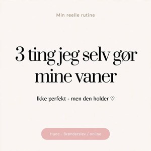 opslagsbillede
