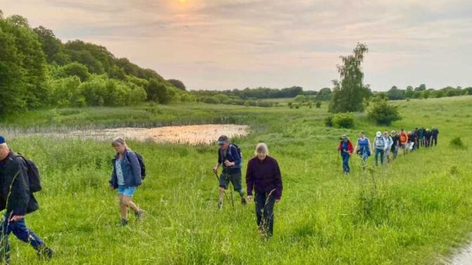 Oplev nattergalens sang ved Bromme Lillesø