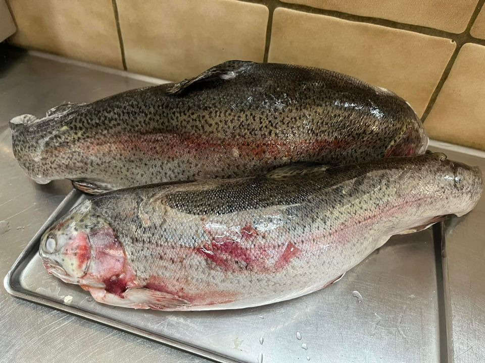 En finger på pulsen i Hadsund