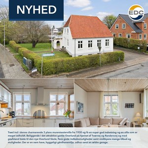 Opslagsbillede
