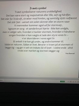 Opslagsbillede