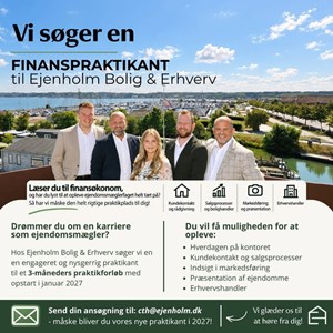 opslagsbillede