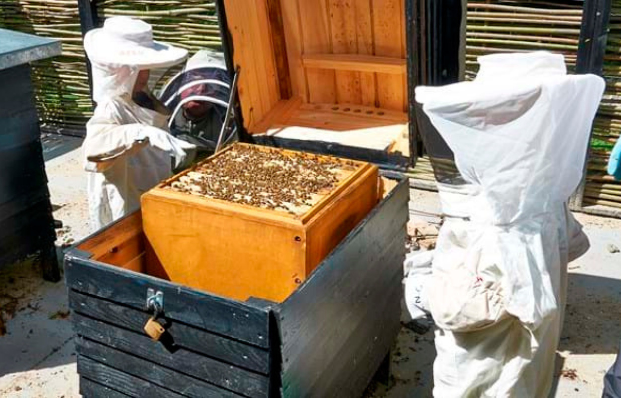 Kom til "Liv og død dag" på Randers Naturcenter