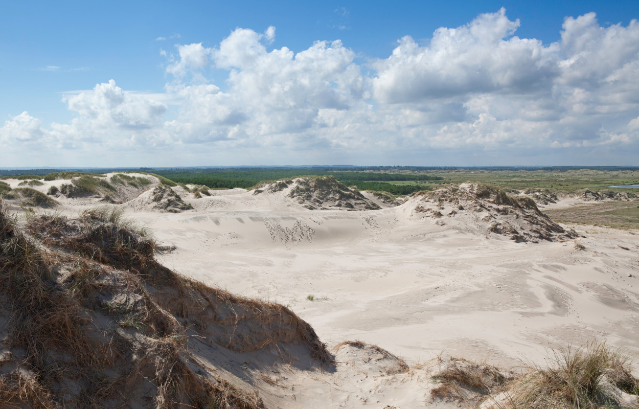 Spændende landskabsmalerier i Hadsund Menighedscenter