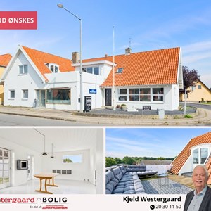 Opslagsbillede