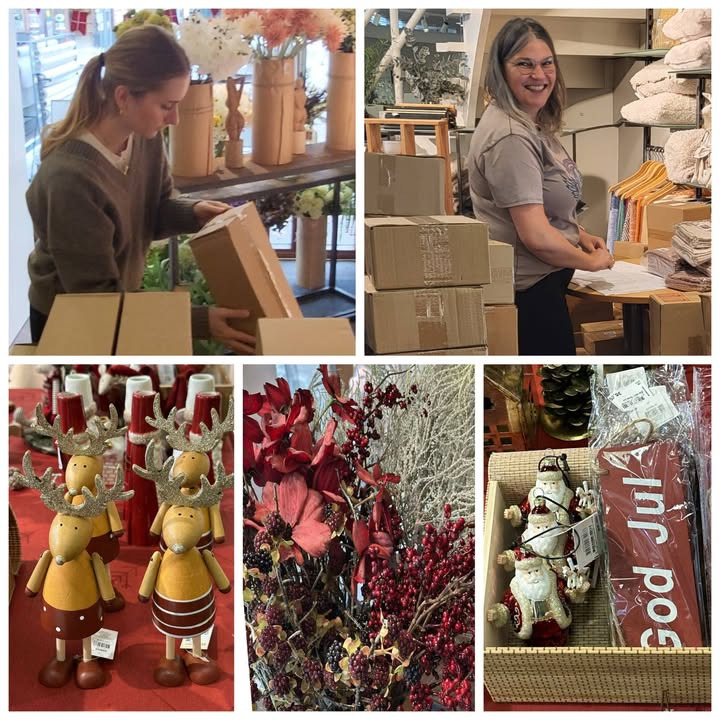 Fjerrenseriet præsenterer nyt udvalg af evigheds-blomster og julebrugskunst