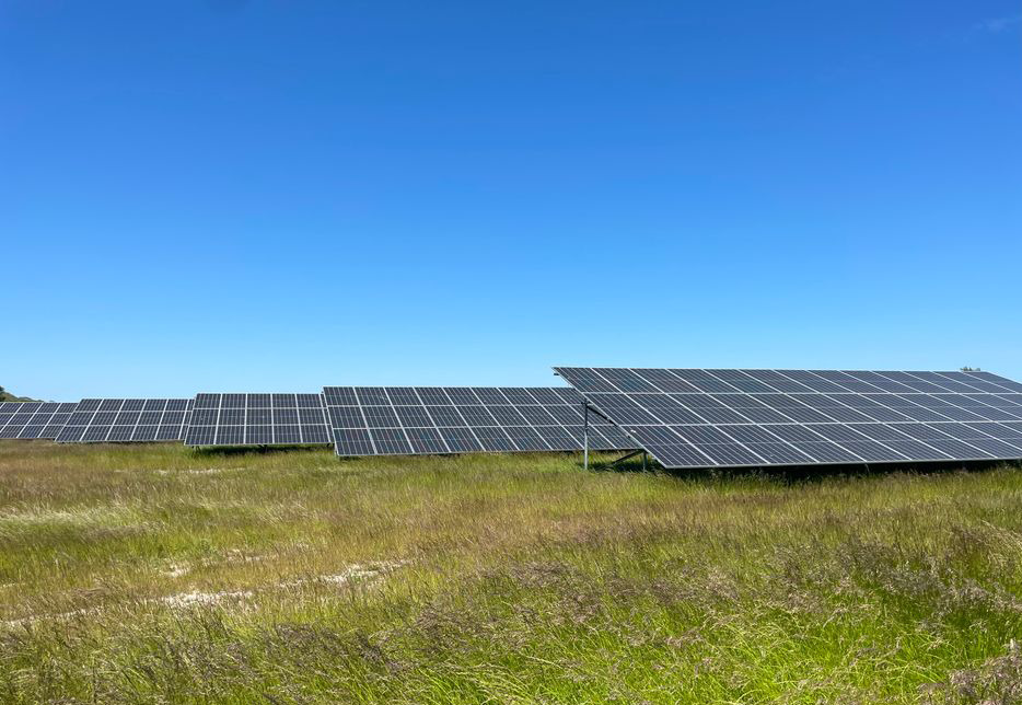 Grøn Pulje styrker lokalsamfundet i Nysted med grønne og kulturelle projekter