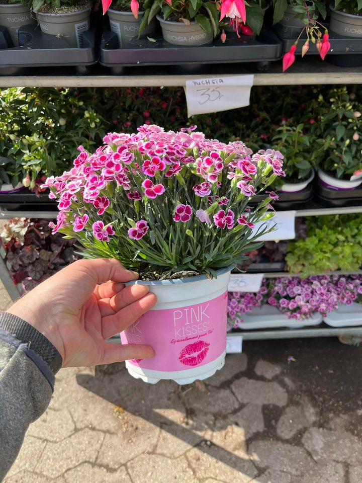 Opslagstavlen: Nyeste opdateringer fra Horsens