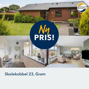 Opslagsbillede