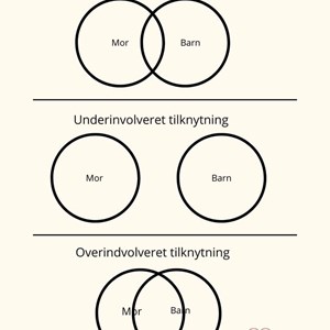 opslagsbillede