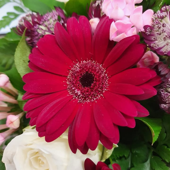 Asmild Plantecenter ApS klar til mors dag med blomster og dekorationer