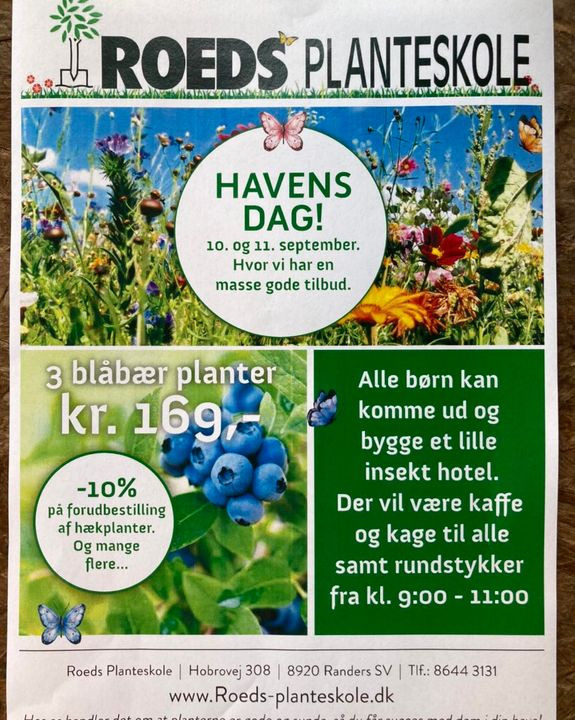 Hold dig ajour med dagens opdateringer fra Hobro